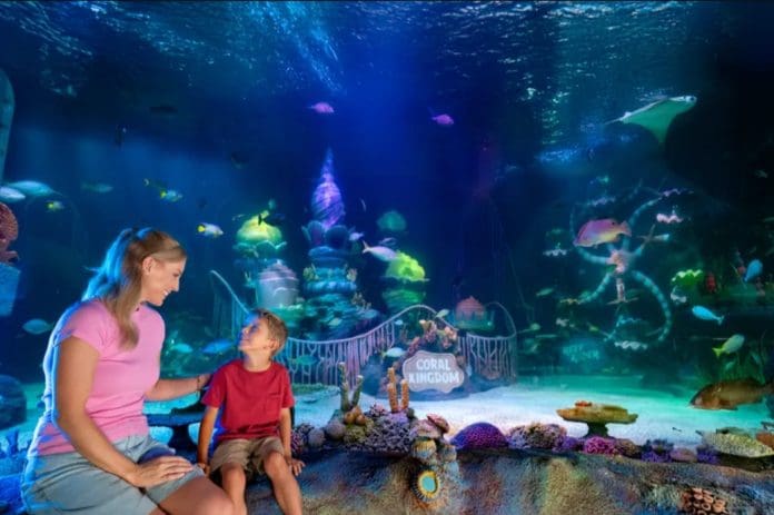 Sea Life Florida, no Legoland Florida Resort, oferece experiências imersivas com foco em acessibilidade e preservação marinha. Crédito: Divulgação