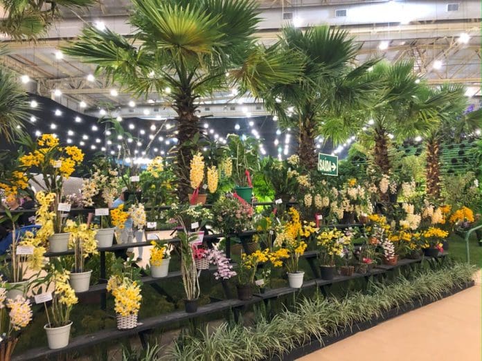 Joinville lança na Abav Expo a 85ª Festa das Flores, o evento mais tradicional do gênero no Brasil