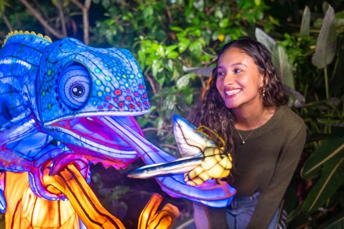 Illuminate transforma o Aquatica Orlando em um espetáculo de luz e cor, com cinco áreas temáticas e experiências sensoriais. Crédito: Divulgação/Aquatica Orlando