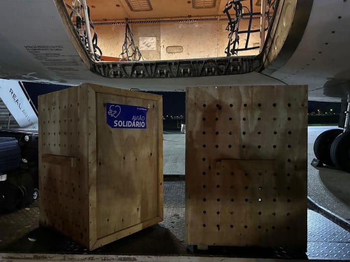 Cinco animais silvestres ganham lar no interior paulista após nova ação do Avião Solidário da Latam. Crédito: Divulgação