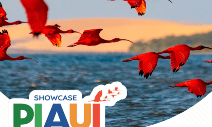 Campanha do Piauí incentiva agentes de viagens portugueses a promoverem o destino no Nordeste brasileiro. Crédito: Divulgação