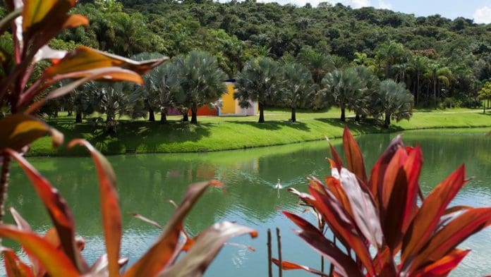 Inhotim New York Times