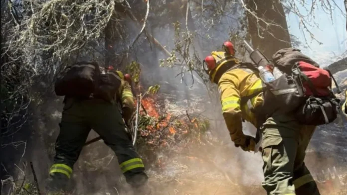 Incêndios patagônia argentina
